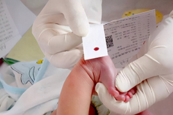 安徽省一医院能办理DNA亲子鉴定吗，安徽省医院做亲子鉴定办理方法