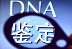 安徽省DNA鉴定需要多久出结果，安徽省匿名亲子鉴定办理流程