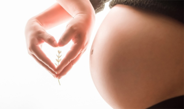 上海市怀孕了如何办理亲子鉴定,上海市孕期亲子鉴定办理条件