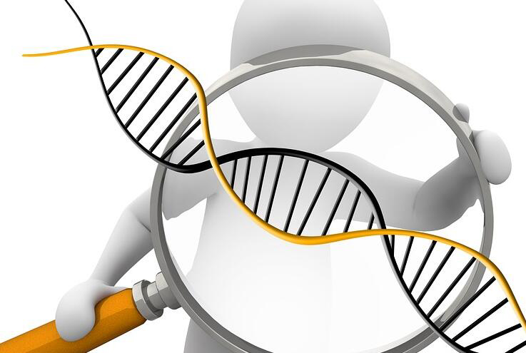 上海市体检中心能做亲子鉴定吗,上海市医院办理DNA亲子鉴定需要什么材料和流程